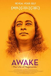 Awake the movie